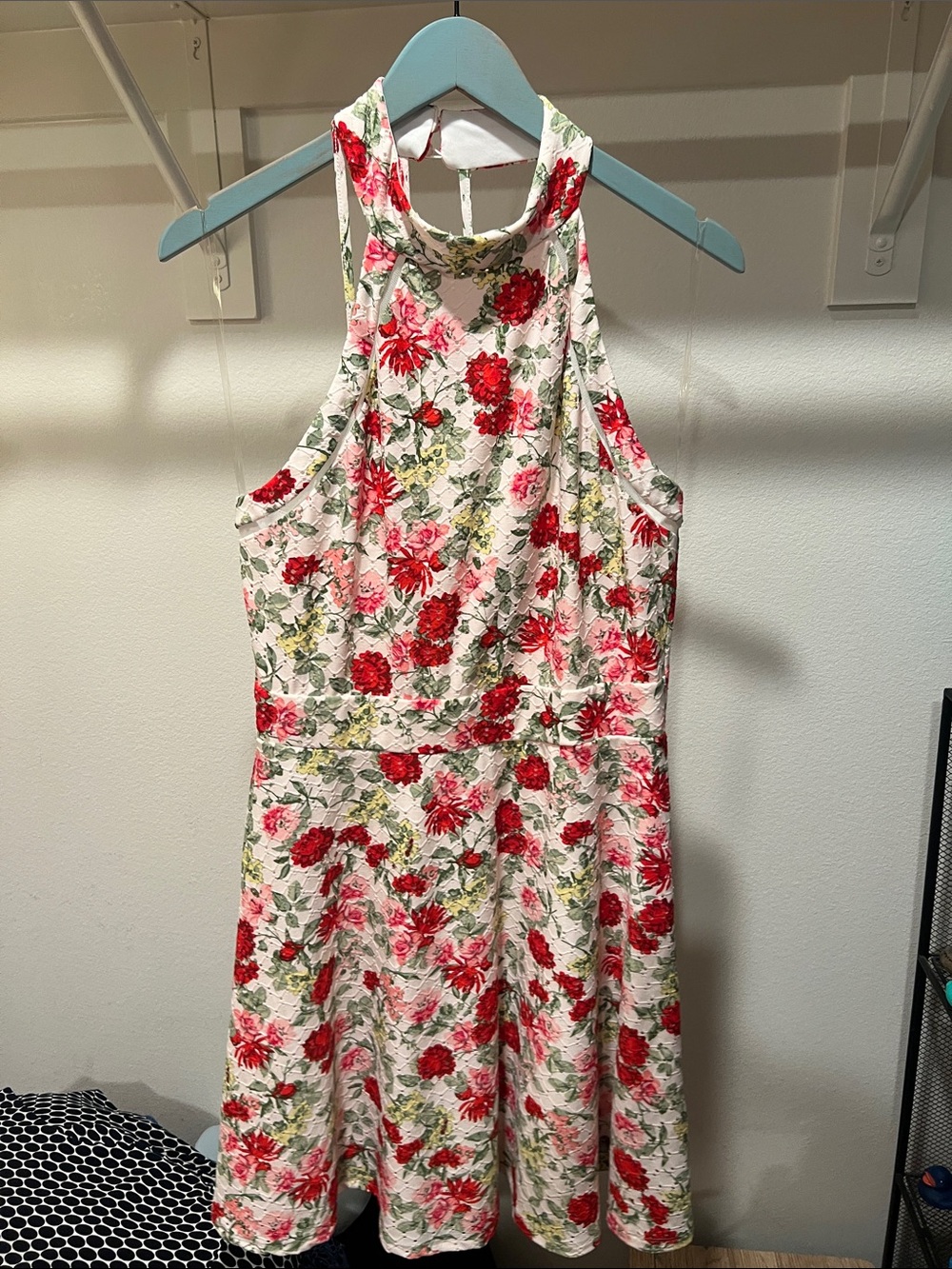Teeze Me Pink Floral Halter Mini Dress with Red Blooms
